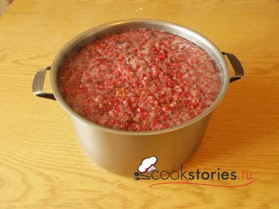 Морс из красной смородины и ежевики